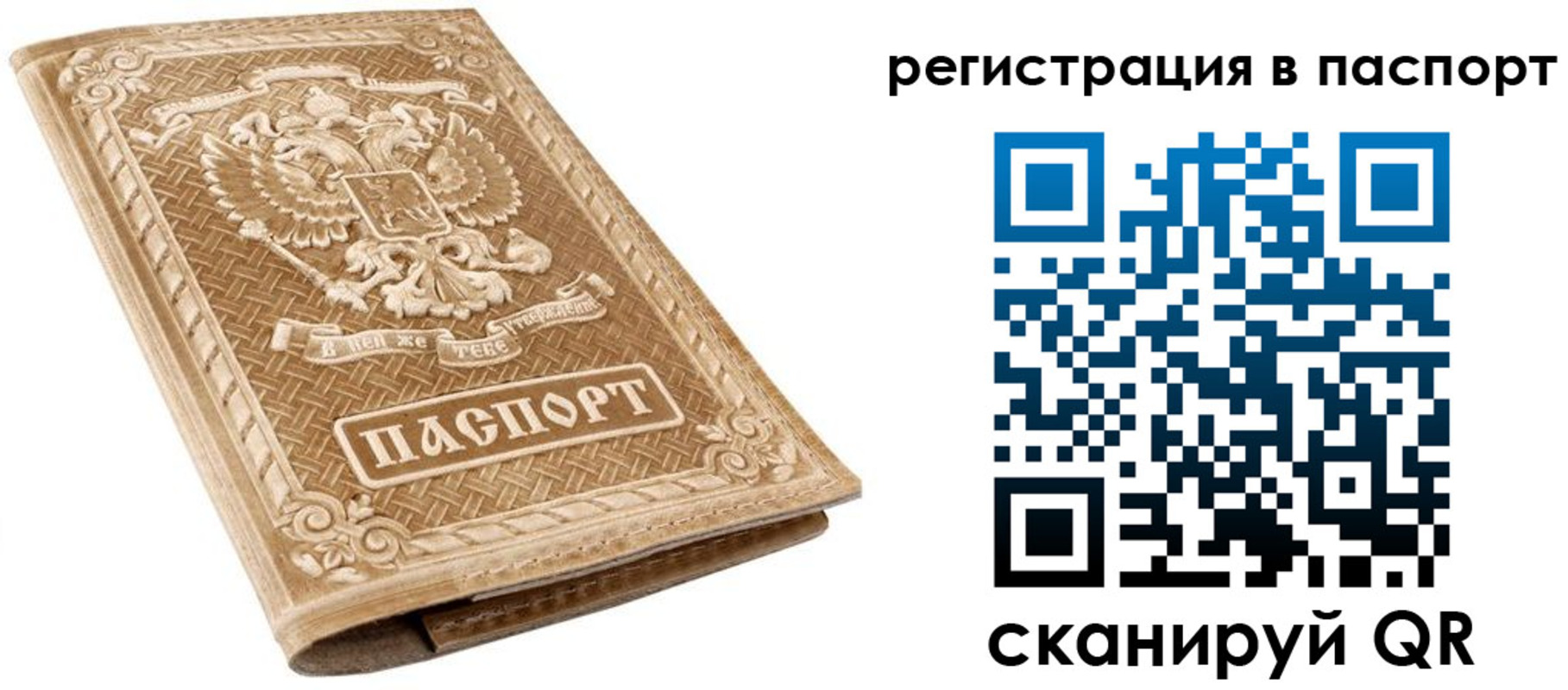 прописка в Камышлове