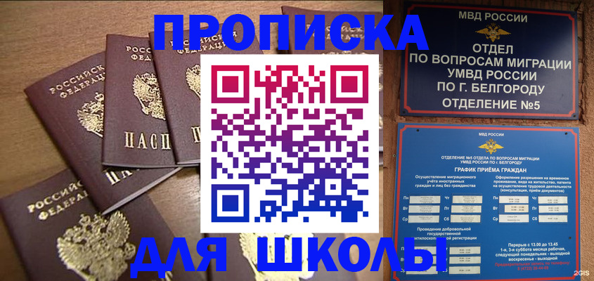 прописка гарантия в Камышлове